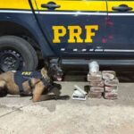 Feira: PRF apreende drogas e mercadorias irregulares em ônibus de turismo na BR-116