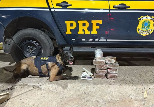 Feira: PRF apreende drogas e mercadorias irregulares em ônibus de turismo na BR-116