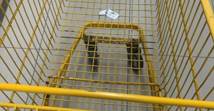 Prévia da inflação: IPCA-15 sobe 0,64% em março