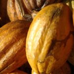 Alta no preço do cacau impacta vendas de Páscoa no Brasil