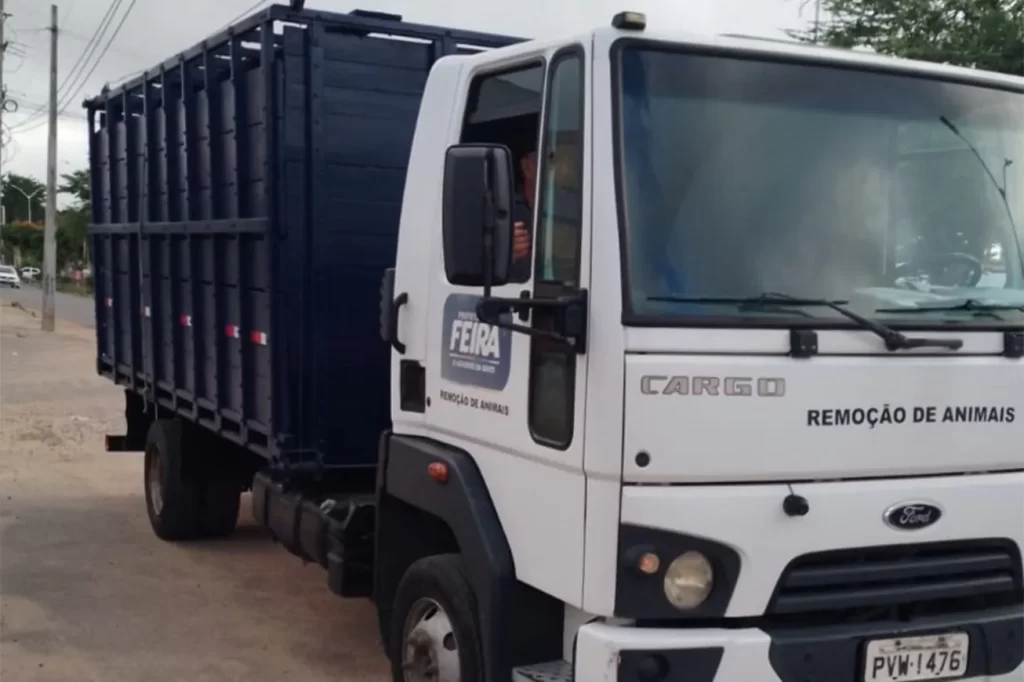 Centro de Zoonoses retoma serviço de recolhimento de animais de grande porte em vias públicas