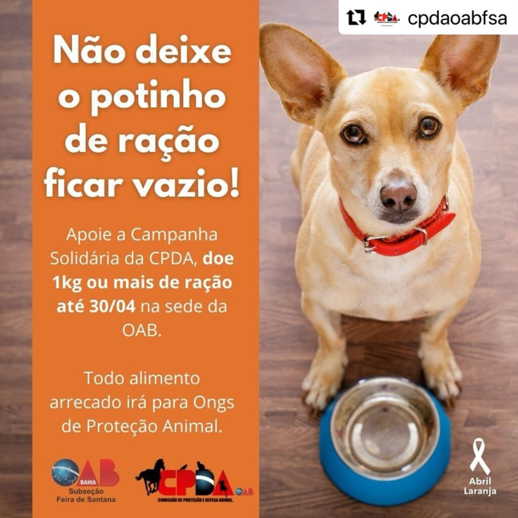 Comissão de Proteção e Defesa Animal da OAB Feira realiza campanha para arrecadação de ração para animais