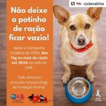 Comissão de Proteção e Defesa Animal da OAB Feira realiza campanha para arrecadação de ração para animais