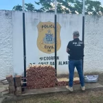 Polícia Civil prende mulher e apreende arsenal de espadas clandestinas no interior da Bahia
