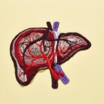 Saiba riscos da hepatite A, que vive novo boom de casos no Brasil