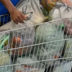 Mais de 70% dos brasileiros não conseguem pagar cesta básica ideal, mostra estudo