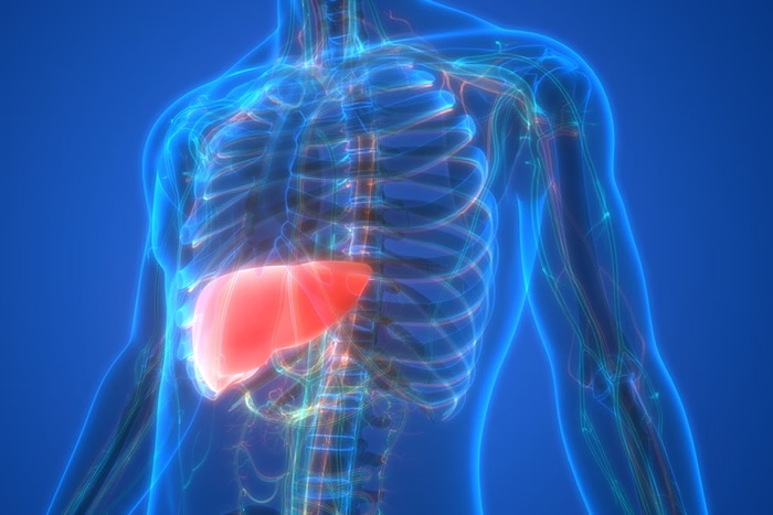 60% dos brasileiros não sabem qual exame identifica gordura no fígado