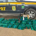 PRF apreende 132 quilos de drogas e fuzil durante fiscalização na BR-116