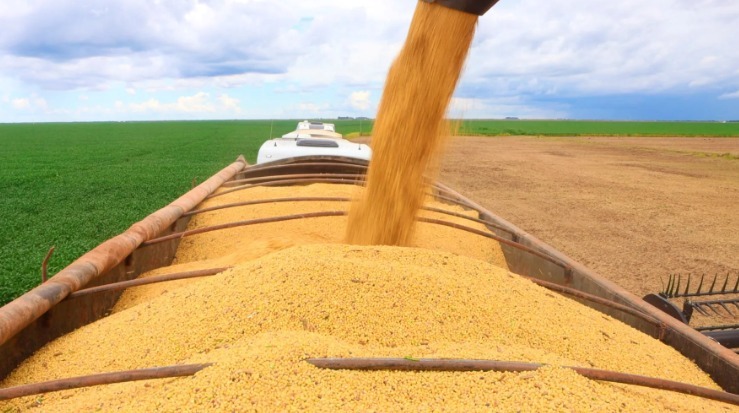 IBGE e Conab confirmam estimativas positivas para a safra de grãos em 2025