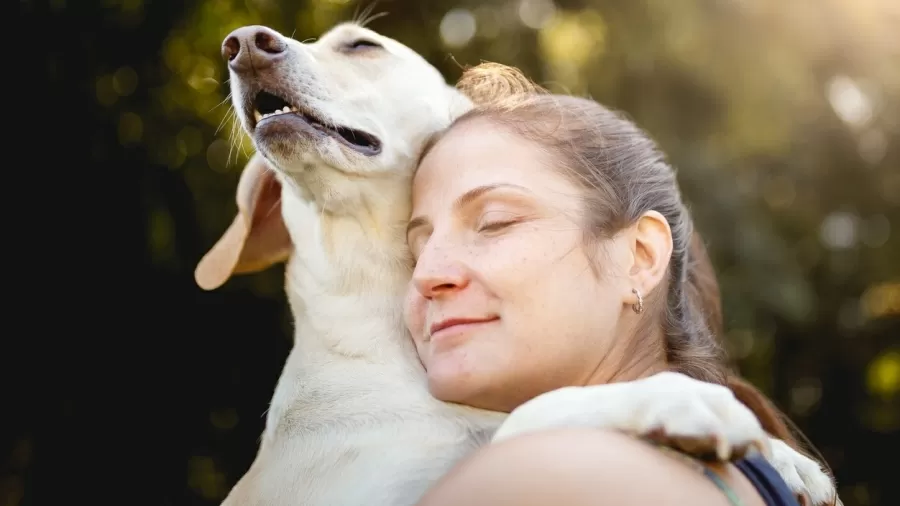 O que pode significar tratar o pet como filho e qual o risco disso?