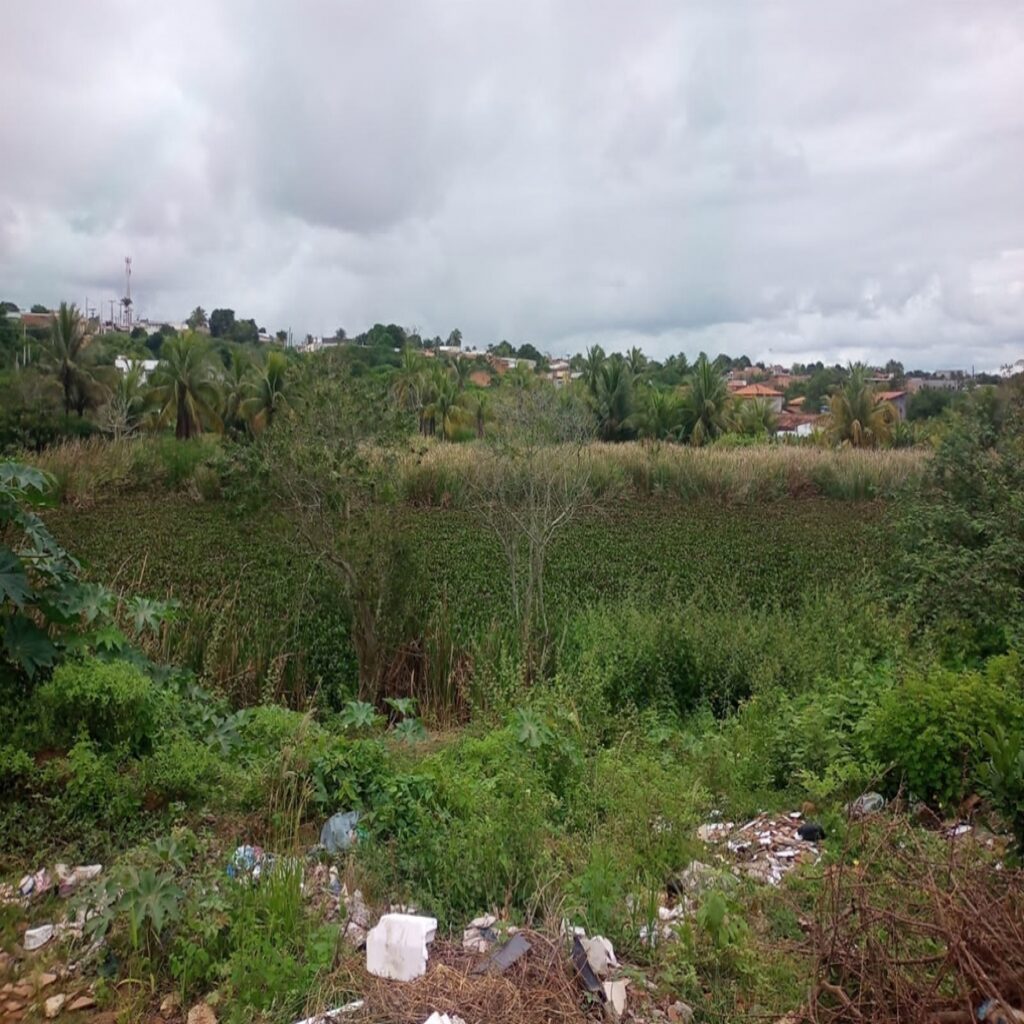 Secretaria de Meio Ambiente intensifica visitas para avaliar situação das lagoas de Feira