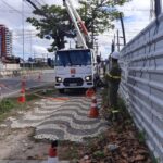 Neoenergia Coelba e Prefeitura de Feira de Santana realizam mais de 200 podas durante mutirão na Av. Maria Quitéria