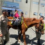 HEC recebe projetos “Alegria a Galope” e “Galopes da Beleza” em parceria com Cavalaria da PMBA