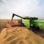 Bahia lidera produção de grãos no Nordeste e deve colher quase 13,6 milhões de toneladas na safra 2024/25