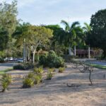 Brinca Feira: Parque da Cidade será palco de grandes atrações para o Dia das Crianças no domingo