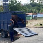 Prefeitura reforça alerta sobre perigos de animais de grande porte soltos em vias públicas