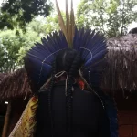 PF investiga ataques armados contra povo pataxó do sul da Bahia