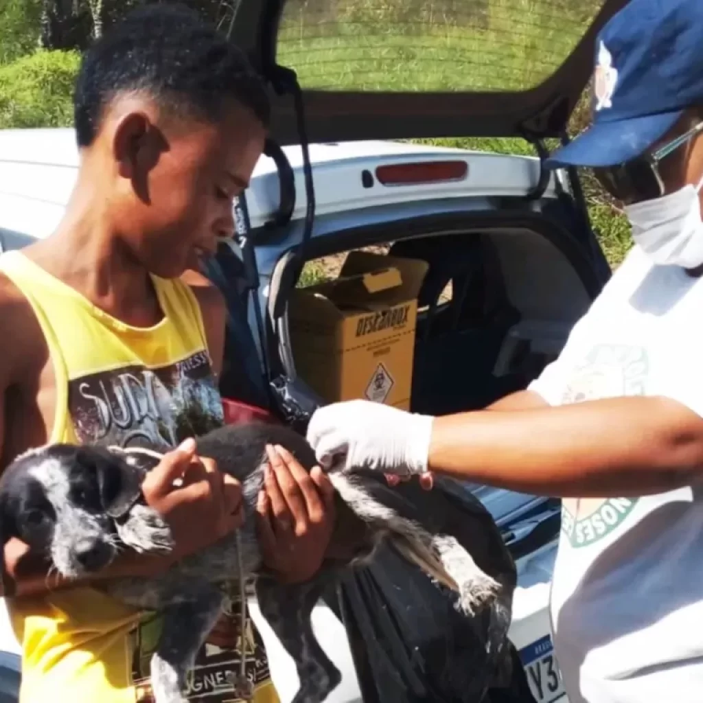 Mais de 31 mil animais são vacinados na Campanha Antirrábica 2025 em Feira de Santana