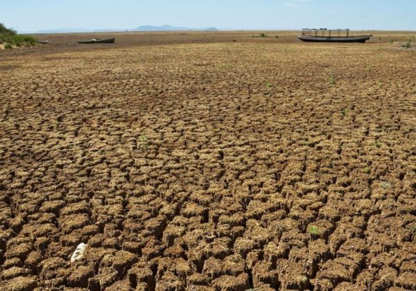 Municípios baianos declaram ‘Situação de Emergência’ devido estiagem