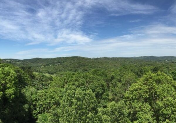 Justiça determina recuperação ambiental de 2,8 mil hectares no Recôncavo Baiano