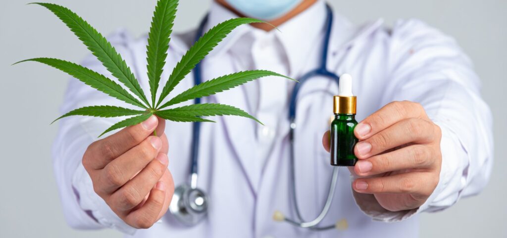 Aval da Anvisa para cultivo de cannabis é considerado “marco histórico”, diz presidente de associação