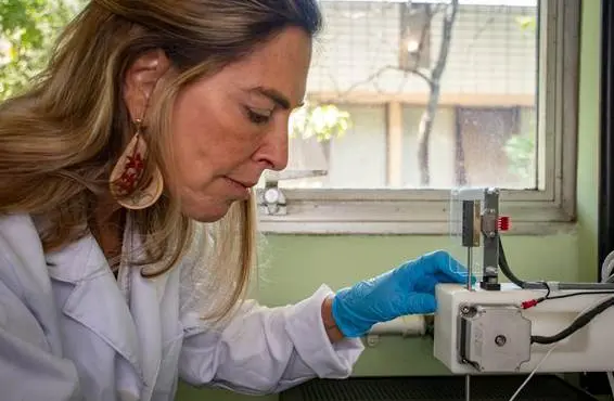 Judicialização do uso da polilaminina dificulta avanço das pesquisas