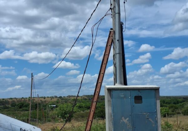 Mega ‘gato’ em fazenda de milho no interior da Bahia daria para abastecer 25 mil casas