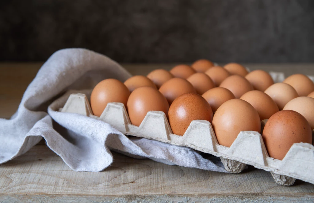 Guerra no Irã pode encarecer ovo, frango e carne suína no Brasil