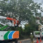 Neoenergia Coelba lança Operação Rede Forte em Feira de Santana para reforçar rede elétrica do município