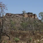 Pesquisa com IA identifica terras agrícolas abandonadas no Cerrado
