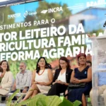 Governo federal anuncia recursos para o Pronaf Mais Leite