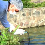 SEMMAM investiga mortandade de peixes na Barragem de Jaguara
