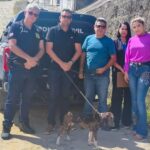 Cadela, vítima de maus-tratos, é resgatada pela Polícia Civil em Medeiros Neto