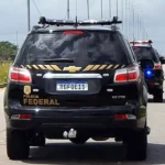 PF apreende mais de uma tonelada de maconha em rodovia paulista