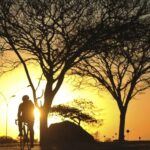 Onda de calor e baixa umidade colocam mais de 170 cidades da Bahia em alerta