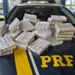PRF apreende 2,7 mil ampolas de tirzepatida transportadas irregularmente em Feira de Santana