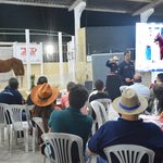 47ª Expofeira: Leilão de cavalos Quarto de Milha teve média de R$ 35 mil por animal