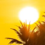 Calor de mais de 41 °C e ar seco devem atingir a Bahia nos próximos dez dias