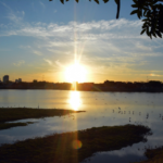 Calor vai se intensificar em Feira; no sábado temperatura chega a 37º